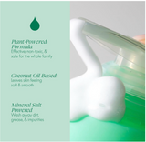 Foaming Hand Soap Rise- 6 pack