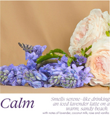 Universal Cleaner- Calm- 6 pack