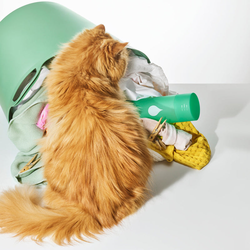 Everyday Laundry Detergent 32 Oz