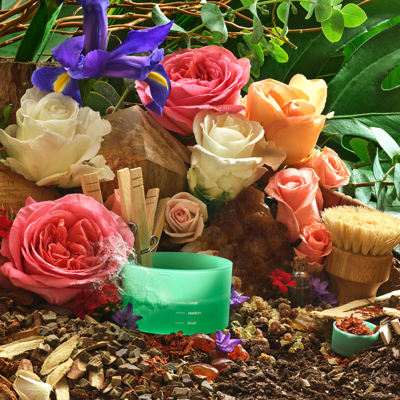 Everyday Laundry Detergent 32 Oz